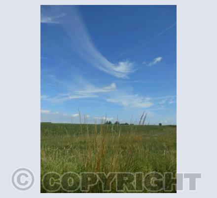 Skies