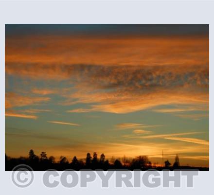 Golden Sunset