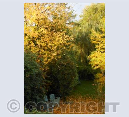 Autumn Garden