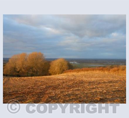 Winter Sun over Otmoor