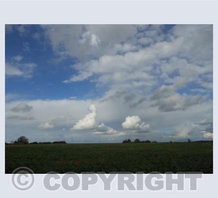Little Cloud Dragons