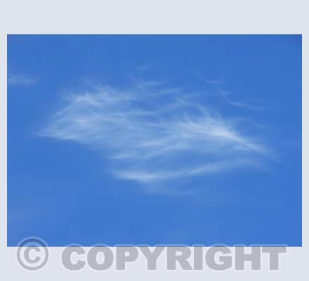 Feather Cloud