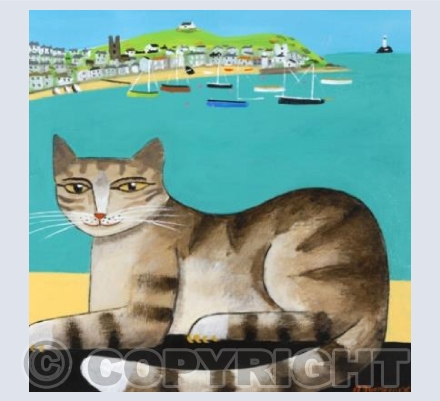 Izzy in St Ives