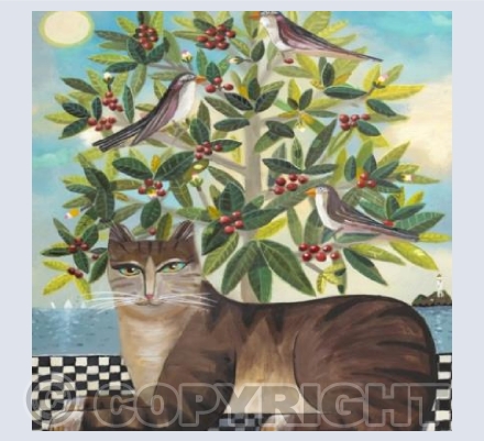 Izzy goes to Godrevy