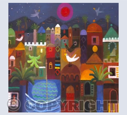 Birds Of Marrakech