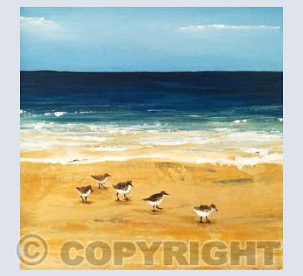Sandpiper Party
