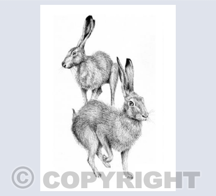 Quite the mischievous pair