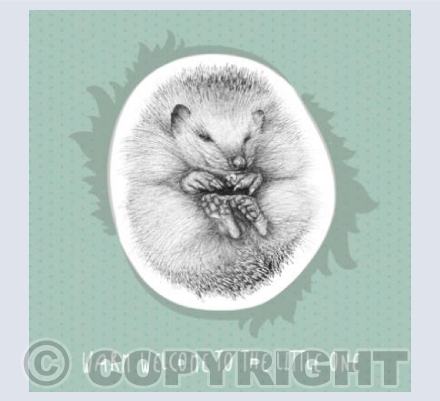 Warm welcome to the little one