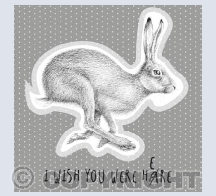 I wish you were hare