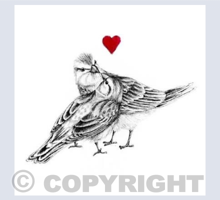 Love birds