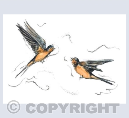 Serenading each other