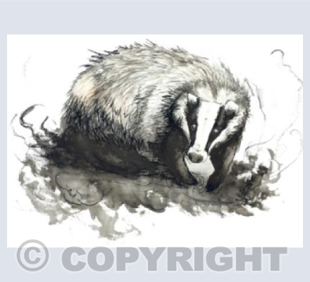 Badger business