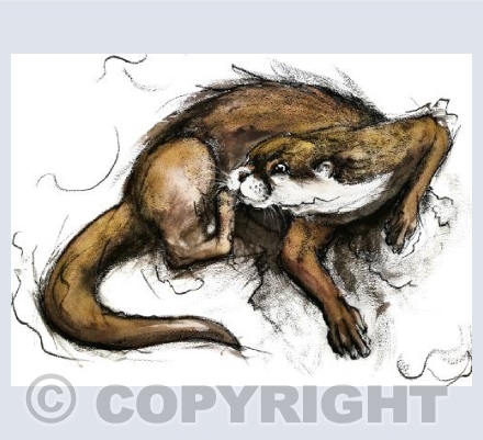 Otter