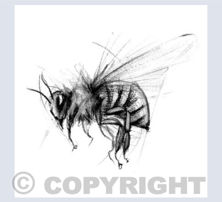 Buzzing along