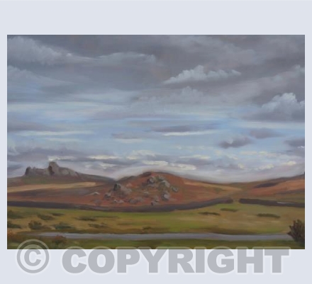 The back of Haytor