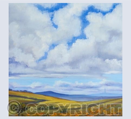 View near Rippon Tor