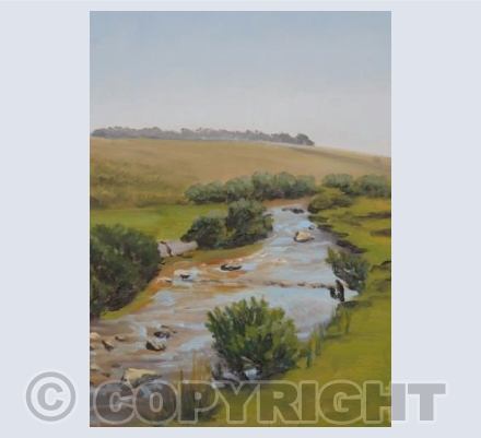 stream on the way to princetown