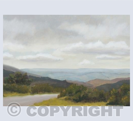 somewhere near widecombe