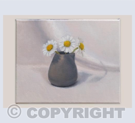 Daisies
