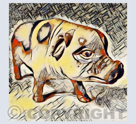 Cochon Kandinsky