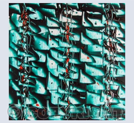Shoal 2 (square)