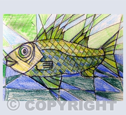 Fish Sketch
