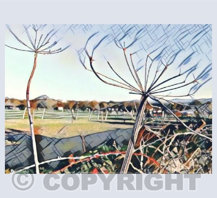 DIGITAL HOGWEED