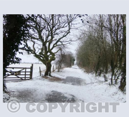 Snow on Darklake Lane