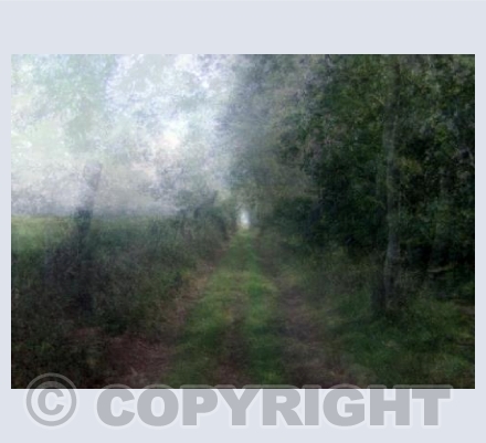 WOOLWELL TRACKWAY
