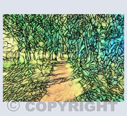 Woolwell Track Nouveau