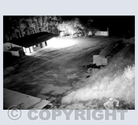 curitiba / brazil 