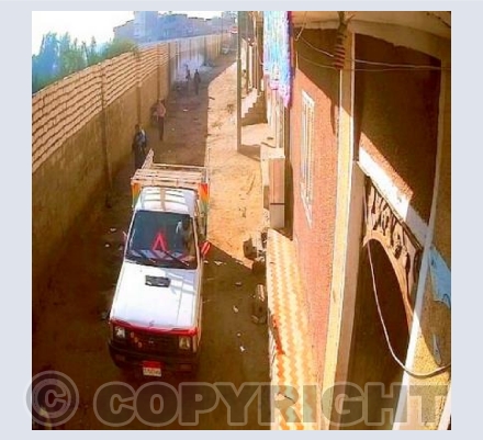 al minya / egypt
