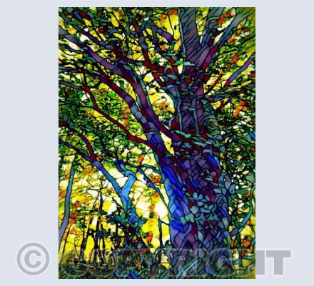 Woodland Fantasy