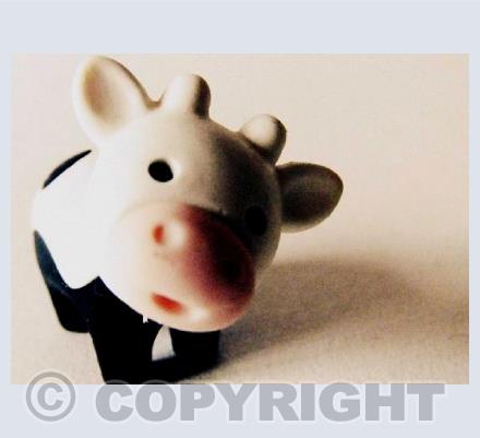 Moo