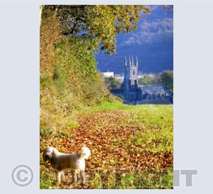 Bickleigh from Woolwell