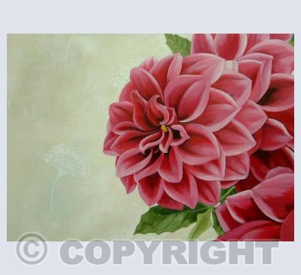 Dahlias