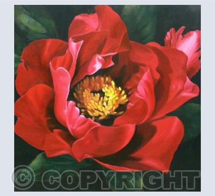 Peony 1