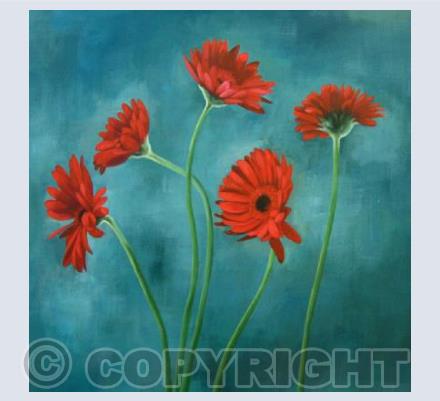 Gerberas
