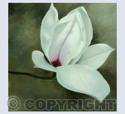 Magnolia on Smoke