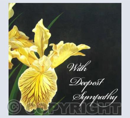 Sad Iris