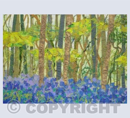 Bluebell Wood