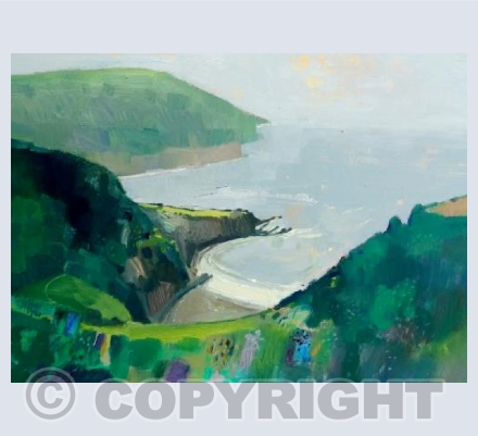 Lee Bay, North Devon