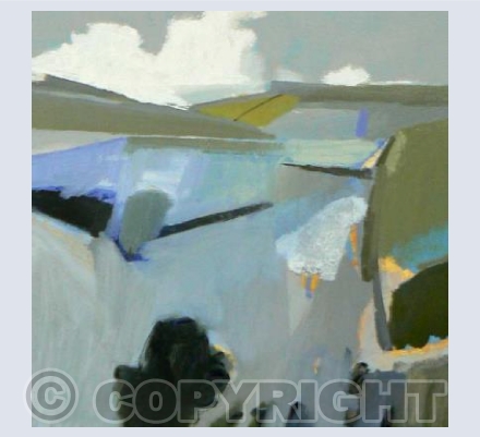 Dartmoor Early Spring