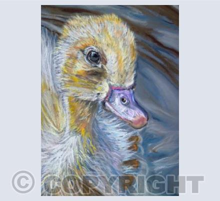 Duckling