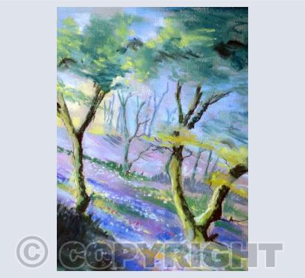 Bluebell Wood