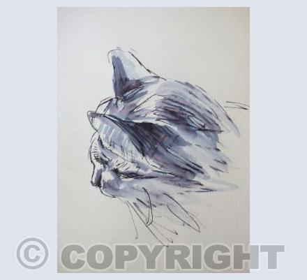 Repose cat sketch