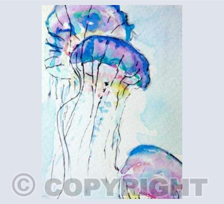 Jellyfish