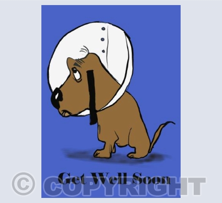 Get well soon - dog collar