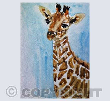 Giraffe Baby