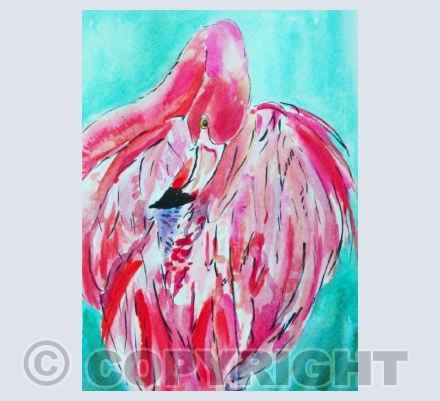 Flamingo